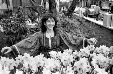 Kate Bush gets permission for song based on Joyce’s Ulysses