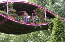 Diarmuid Gavin takes gold at Chelsea Flower Show