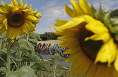 Sprint finish: everything you need to know about stage 7 at Le Tour