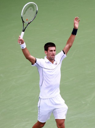 Hallelujah! Djokovic celebrates victory over Federer.