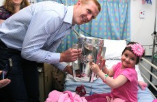 In pictures: Cats visit children’s hospital in Crumlin