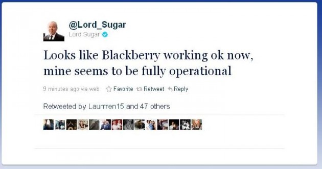 Sugar Berry