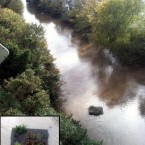 A piece of garden decking, still with pot plants intact, floats down the Liffey near Heuston Station, Dublin. Image: @AlanWall77