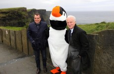Caption comp: Trap and Tardelli visit the Cliffs of Moher… and meet a giant puffin