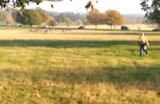 Video of man chasing after his dog goes viral and sparks YouTube spin-offs