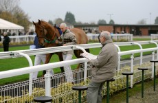 Mark your Card: your best bets for the weekend’s racing