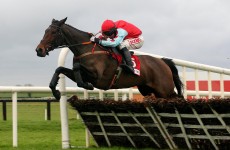 ‘I was devastated’ says Betfair chief after Leopardstown blunder