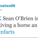 Sean O'Brien emerged as one of the stars of the Rugby World Cup, gaining much recognition on Twitter in the process.