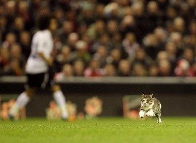The Anfield Cat heads goalwards on Monday night