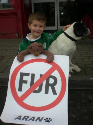 Rachel's son Noah pictured with his favourite teddy and a dog supporting the ban on fur farming in Ireland at a recent protest.