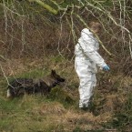 Gardai with a sniffer dog at the scene where the two bodies were found. (Photo: Niall Carson/PA Wire)