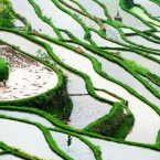 (CHINA OUT) Terraced paddy fields are seen at an altitude of 1200 metres on May 7, 2012 in Jinping County, Guizhou Province of China. (Photo by Yang Wenbin/ChinaFotoPress)***_***427726999
