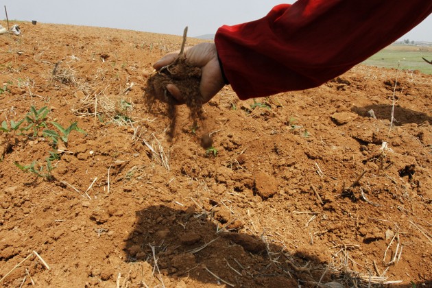 North Korea Drought