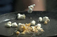 Slow-motion Video of the Day