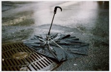 Cork summer show rained off