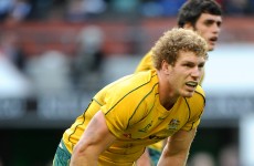 Pocock to lead Australia from the front against Scotland