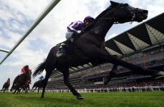 Think again! O’Briens land Royal Ascot feature