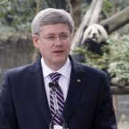 He's gonna get ya: a Panda checks out Canadian Prime Minister Stephen Harper. (AP Photo/The Canadian Press, Adrian Wyld)