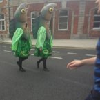 Reader @Oddzer spotted these two fish out of water near the Tall Ships. 