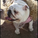 <a href=http://petsadviser.com>Petsadviser.com</a>