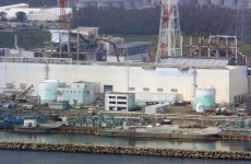 Fukushima fish radiation may indicate leak: study