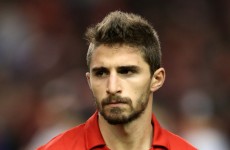 Blow for Liverpool as striker Fabio Borini fractures his foot