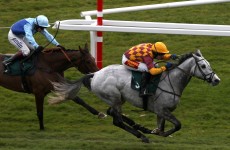 Mark your Card: your best bets for today’s Grade racing