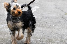 Met Eireann warns strong winds to hit later today