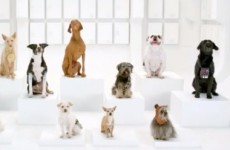 YouTube’s 20 most popular ads in 2012
