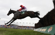 Mark your Card: your best bets for today’s Grade racing