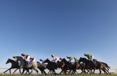 Mark your Card: your best bets for today’s Grade racing