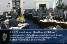 Oireachtas told: ‘Ireland already allows abortion of unviable pregnancies’