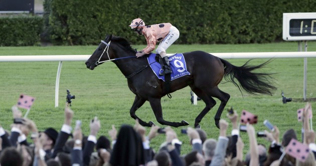 Black Caviar, one of the world’s greatest racehorses, has retired