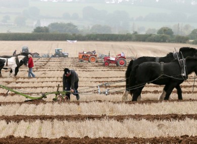 The National Ploughing Championships 2013.