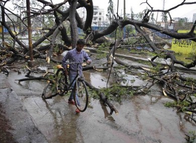 An Indian man with his bicycle makes his way through uprooted trees fallen during Cyclone Phailin on a road in Berhampur.