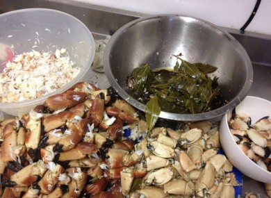 Crab being prepared at Deasy's Harbour Bar..